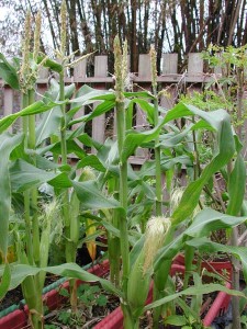 1380945792-555999456