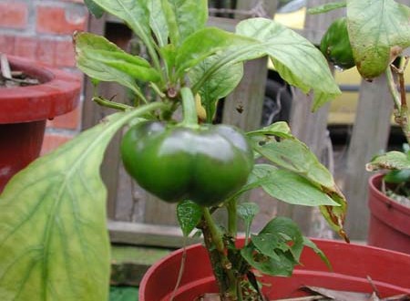 1380945793-2745523057