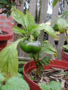 1380945793-2745523057