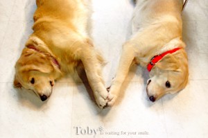 1380945793-3393484248