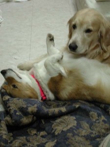 1380945794-1467541883