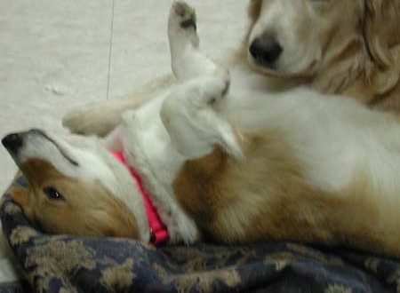 1380945794-1467541883