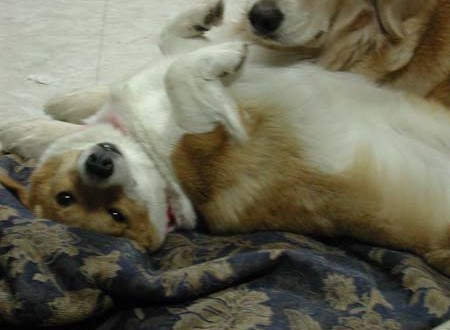 1380945795-2045530773