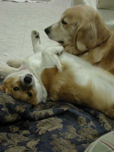 1380945795-3629253141