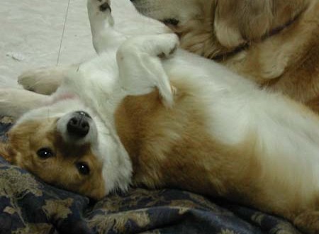 1380945795-3629253141