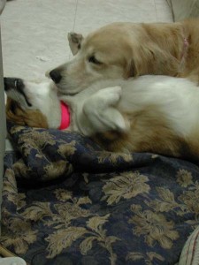 1380945796-3428777836