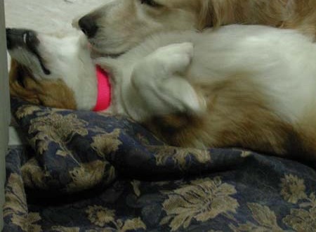 1380945796-3428777836