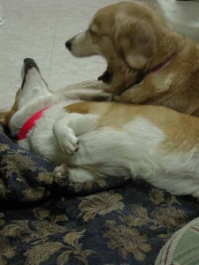 1380945796-774478491