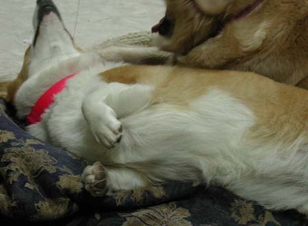 1380945796-774478491