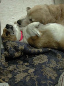 1380945797-289501389