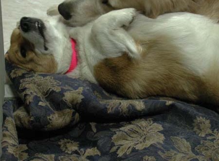 1380945797-289501389