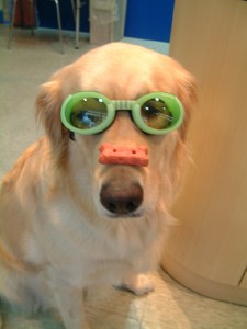 1380945799-1147906536