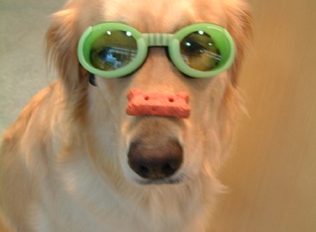 1380945799-1147906536