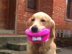 1380945799-1995261210