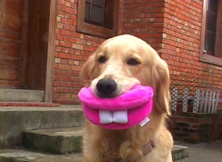 1380945799-1995261210