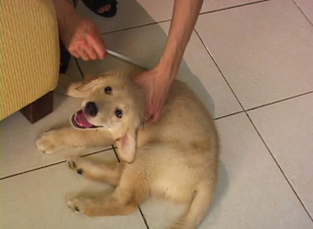 1380945799-4178355609