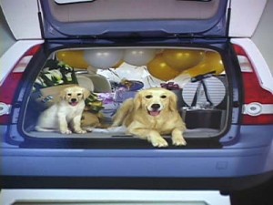 1380945800-1994465315