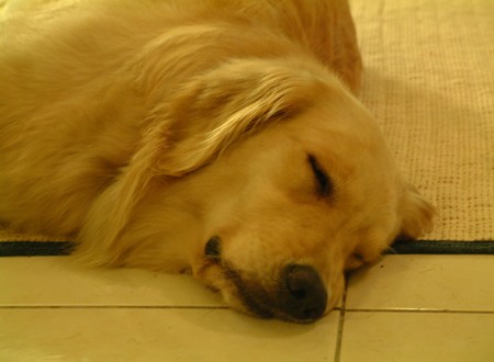 1380945801-1748372495