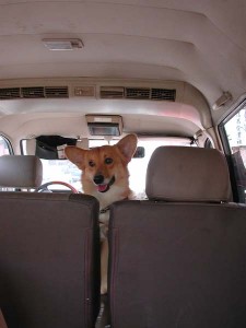 1380945805-1458564130