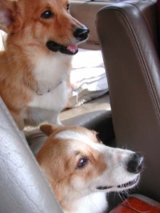 1380945805-657008461