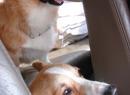 1380945805-657008461