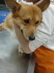 1380945805-752567491