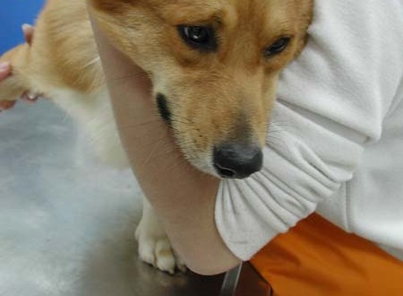 1380945805-752567491