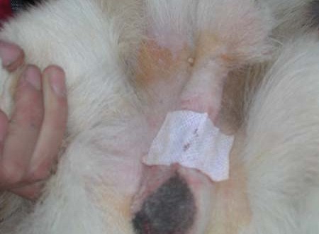 1380945806-1640383475