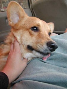 1380945806-3467438098