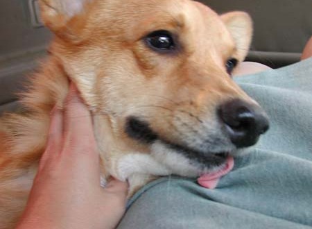 1380945806-3467438098