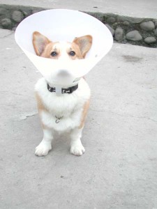 1380945807-426064269