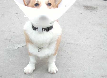 1380945807-426064269