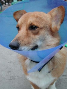 1380945808-2538664111