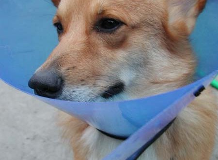 1380945808-2538664111