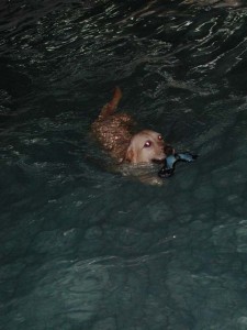 1380945809-2498432228