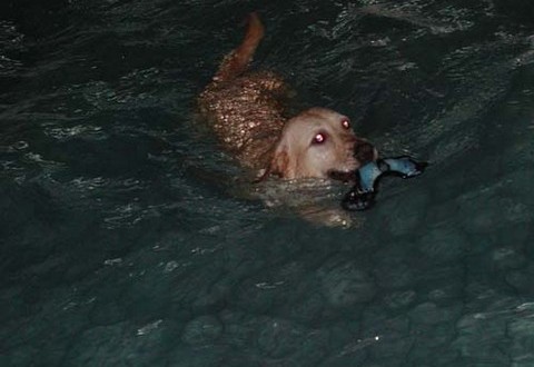 1380945809-2498432228