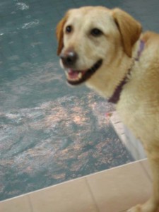 1380945809-3629784053