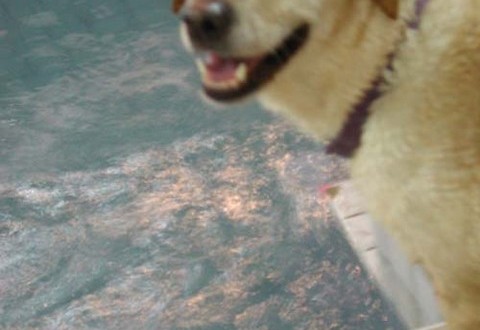 1380945809-3629784053