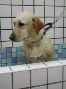 1380945810-3762498984