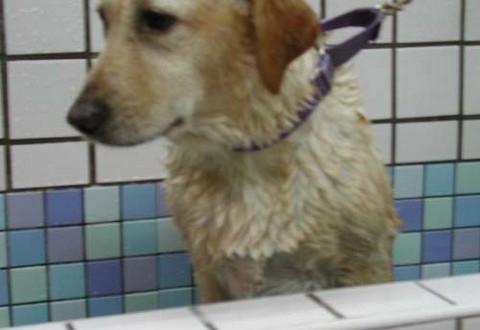 1380945810-3762498984