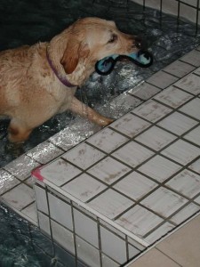 1380945810-4090154544