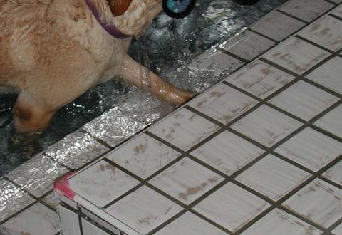 1380945810-4090154544