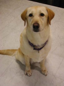 1380945811-458367478