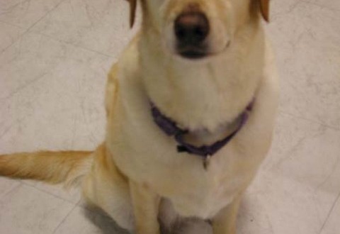 1380945811-458367478