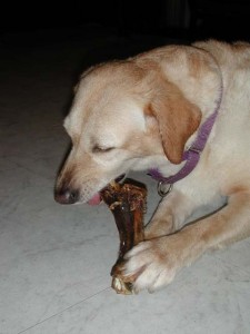 1380945812-114576760