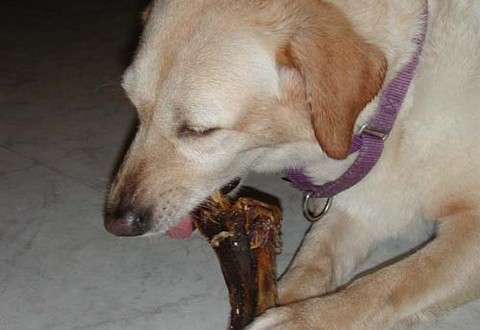 1380945812-114576760