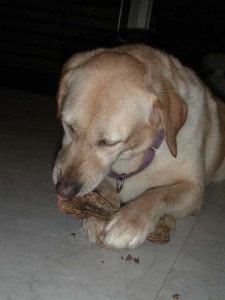 1380945812-3982966193