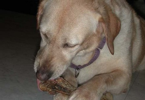 1380945812-3982966193