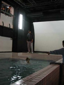 1380945815-2564869731