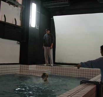 1380945815-2564869731